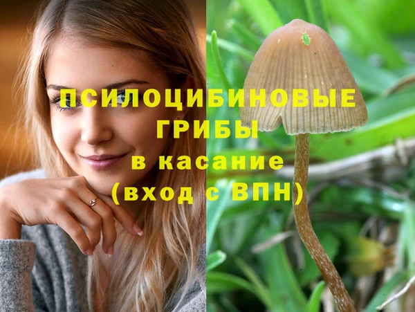 герыч Каменногорск
