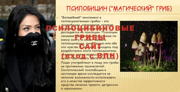 герыч Каменногорск