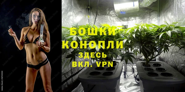 шишки Каменка