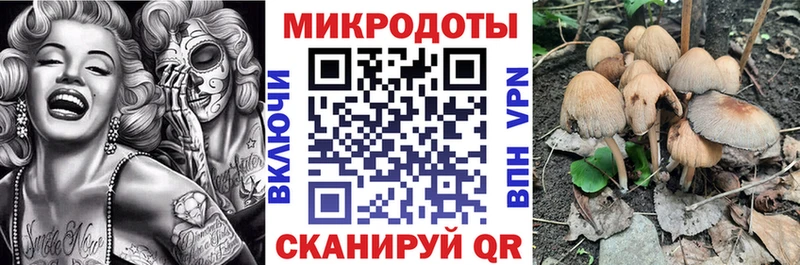 сайты даркнета телеграм  Мыски  Псилоцибиновые грибы мицелий 